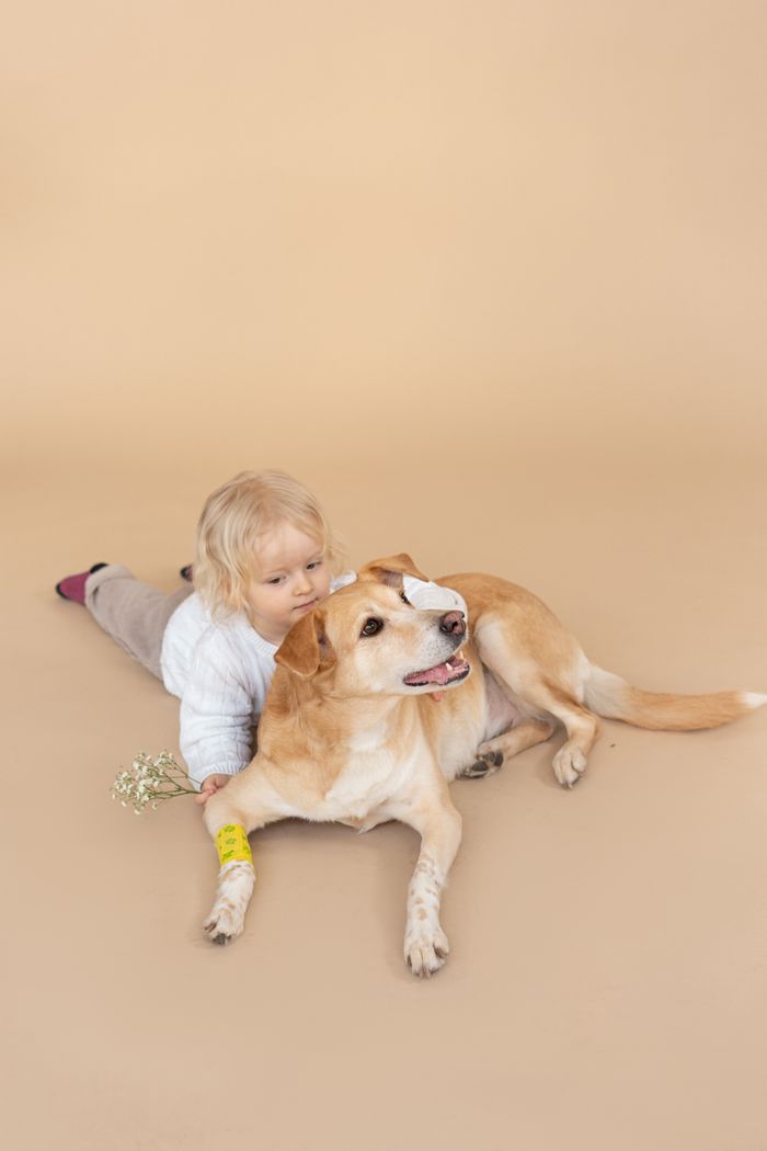 A child and a Labrador retriever mix enjoy a loving moment on a beige studio background.