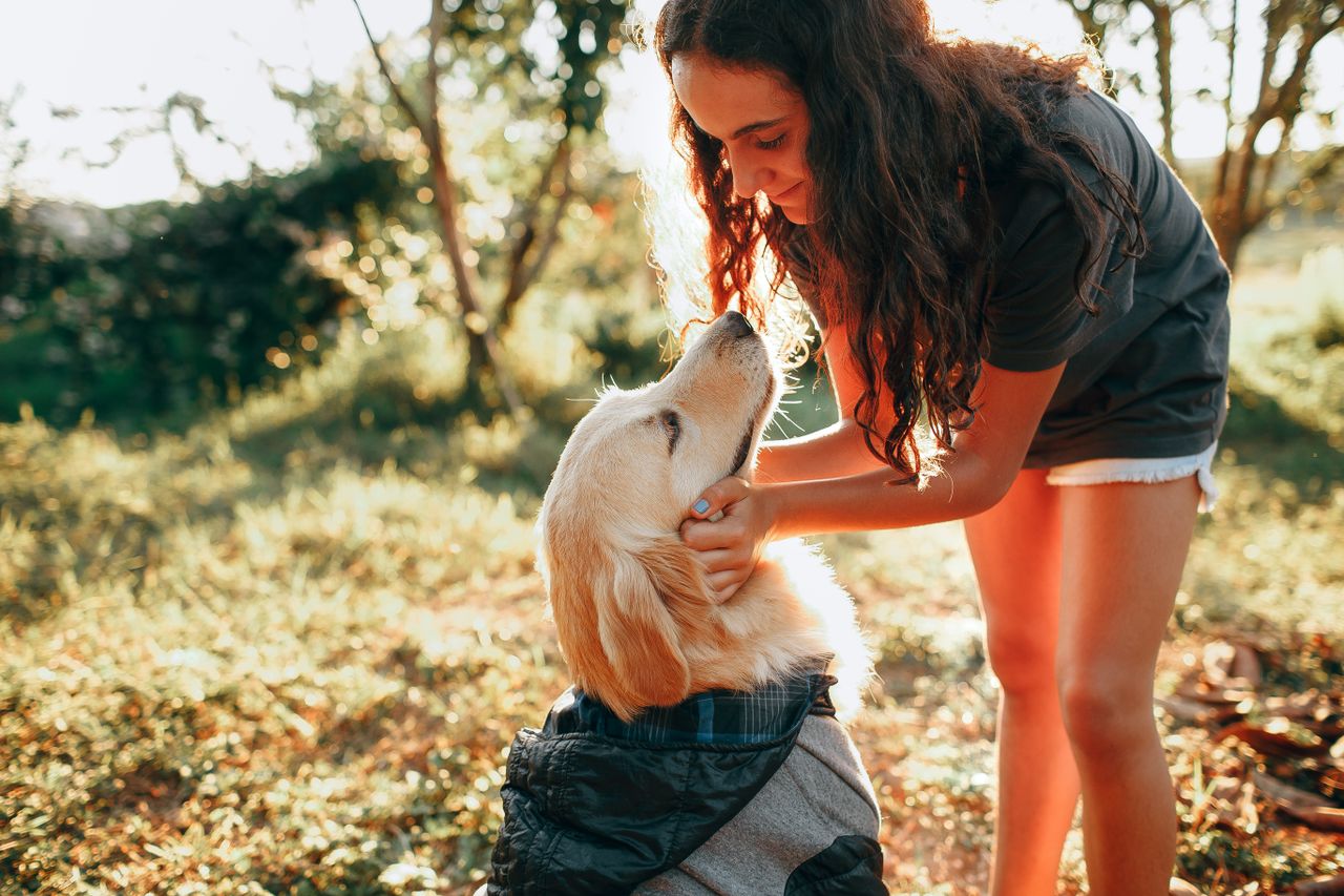 services-03 Young female petting Golden Retriever in jacket on grassy meadow near trees in sunny day in nature