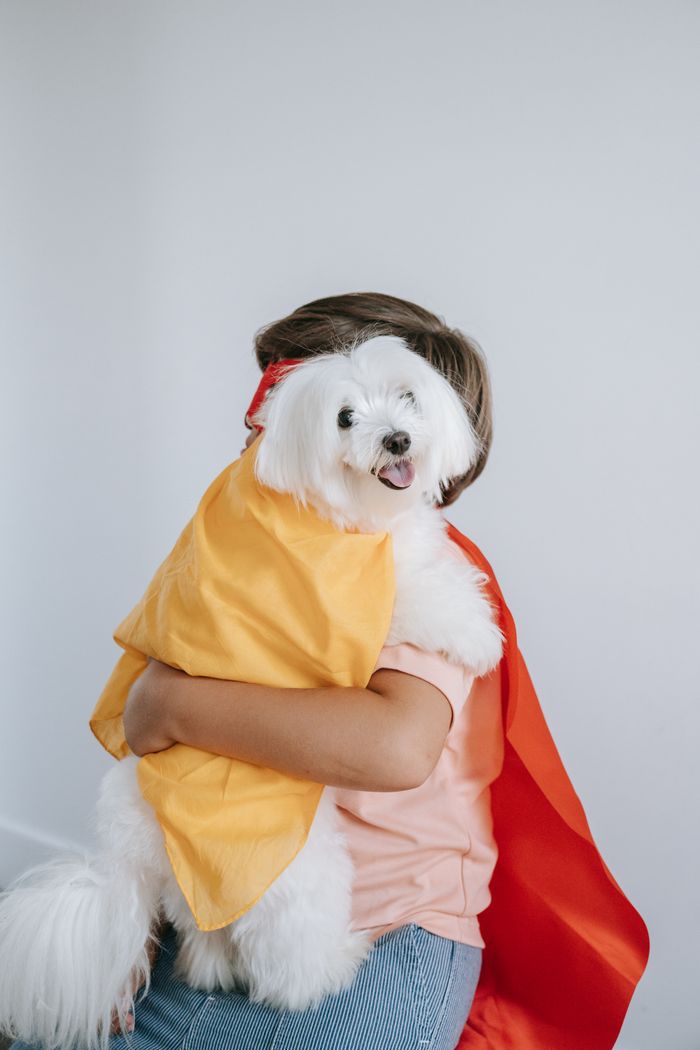 A child in a red cape holds a white dog with a yellow cape against a white background.